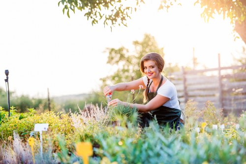 The image shows a woman in a backyard garden, tending to a variety of flowering plants and shrubs, with a focus on vibrant foliage and blooming flowers. The garden features a well-maintained lawn with lush green grass in the foreground, separated from the flower beds by a narrow border. She is wearing casual gardening clothes and a black apron, smiling gently as she works among the plants. In the background, a wooden fence provides privacy, and a large tree with leafy branches extends overhead, casting dappled sunlight across the scene. The garden appears to be part of a suburban home in Pinner, with natural light indicating a clear, sunny day. The scene emphasizes the importance of outdoor gardening and landscape maintenance, aligning with professional gardening services offered by Landscapers Pinner. The area shows a mix of flower types, with some purple and yellow blooms, and the overall environment is peaceful and well-organized, perfect for outdoor leisure and gardening activities.