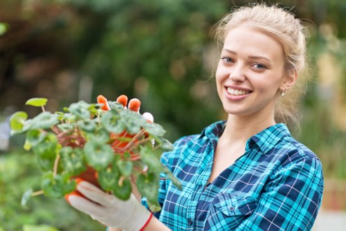 Garden clearance pricing example for a home in Pinner
