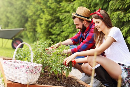 In a well-maintained back garden, a man and woman are working together to tend to a flower bed with green leafy plants. The garden features a neatly edged lawn in the foreground, with a mainly green hedge and tall trees providing a lush backdrop. The soil bed where they are planting appears dark and fertile, bordered by a wooden edging, and a white wicker basket filled with pink and white fabric is placed nearby for garden tools or harvested blooms. Both individuals are dressed casually for gardening, with the man wearing a straw hat and a plaid shirt, and the woman wearing a white top and plaid skirt, with a red bandana in her hair. They are focused on planting or weeding, and the scene is illuminated by natural daylight, suggesting a clear, sunny day with soft shadows. The surrounding environment and the care taken in planting reflect a tidy outdoor space suited to gardening and landscape maintenance, typical of residential properties in Pinner or nearby areas, overseen by local gardening specialists such as Landscapers Pinner.