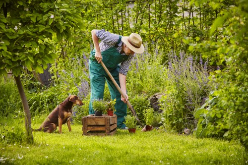 A person wearing a straw hat, blue apron, and checkered shirt is tending a flower bed in a lush, green garden. They are using a gardening tool to work in the soil, with a small wooden crate containing potted plants placed nearby. A brown dog sits on the well-maintained lawn, attentively watching the person. The garden features a variety of shrubs, flowering plants with purple blooms, and a mixture of ground cover and taller greenery, creating a vibrant, natural outdoor space. In the background, dense trees and foliage provide a shaded environment, suggesting a residential garden in Pinner. The overall scene depicts outdoor maintenance and gardening activity in a landscaped, tidy garden setting, with natural light indicating a clear, weather-friendly day. Such garden features and plant arrangements are typical of professional gardening services offered by Landscapers Pinner in this area.