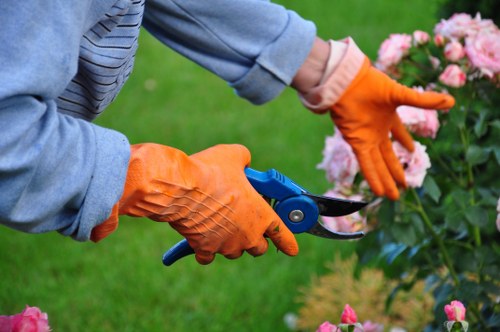 Close-up view of a gardener's hands wearing bright orange protective gloves, using small pruning scissors to trim pink flowering bushes in a well-maintained garden. The garden features lush green grass and neatly arranged flower beds with various plants, with some soil visible at the base of the shrubs. In the background, a blurred lawn area and other garden elements can be seen, indicating a tidy outdoor space typical of residential landscaping in the Pinner area. The scene highlights careful pruning activity during daylight, with natural lighting emphasizing the vibrant colours of the flowers and greenery. This image exemplifies professional gardening and hedge trimming work as undertaken by companies like Landscapers Pinner, supporting high-quality lawn care and garden maintenance services in local outdoor environments.