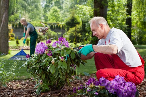 Illustration for accessibility statement introduction for landscapers in Pinner