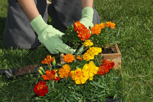 A person wearing light green gardening gloves is planting or tending to a colorful bed of flowering plants in a small garden area, with a patch of well-maintained, lush green grass surrounding the garden bed. The flower bed contains vibrant flowers in shades of orange, yellow, and red, with green foliage providing contrast. The scene appears to be outdoors in a private garden, with natural sunlight illuminating the area. The person’s hands are positioned over the plants, possibly adjusting or planting new flowers, and a wooden border surrounds the flower bed to separate it from the lawn. The background features a neat and tidy garden space typical of landscaped outdoor environments, supporting local gardening and lawn care services while maintaining a natural and inviting appearance.