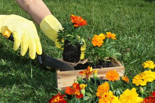 The image shows a gardener planting a vibrant orange and yellow flowering plant into a wooden garden bed placed on a well-maintained lawn in a front or backyard setting. The gardener is wearing yellow gloves and using a trowel to position the plant into the dark soil within the garden bed, which is bordered by fresh soil and surrounding bright flowering plants. The lush green grass in the background extends across the outdoor space, creating a natural and inviting garden environment. The scene reflects careful planting and garden maintenance, typical of professional outdoor landscaping services offered by companies such as Landscapers Pinner, contributing to a colourful and well-organized outdoor area that enhances the curb appeal of a property in Pinner or nearby areas. The lighting suggests a clear, bright day, ideal for gardening work. This image visually represents gardening expertise focused on planting and garden enhancement within a residential landscape, aligned with landscaping and lawn care services in the UK.