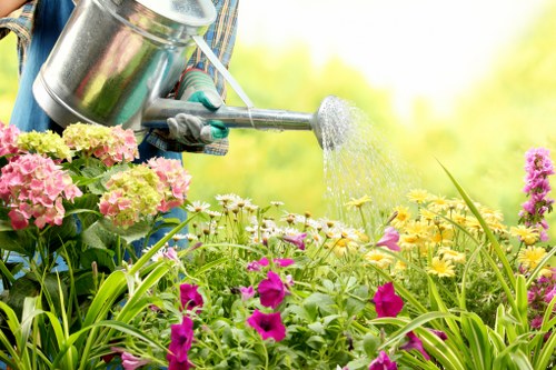 A gardener's hand, wearing a glove, is watering a garden bed filled with a variety of flowering plants, including pink, purple, and yellow blooms. The plants are densely packed, with green foliage creating a lush appearance. In the background, there is a blurred outdoor environment with natural daylight, suggesting a well-maintained garden space typical of a residential area in Pinner or nearby in Middlesex. The scene emphasizes outdoor gardening activities such as watering and plant care, highlighting the importance of regular maintenance for healthy lawn and garden growth, as part of professional services offered by Landscapers Pinner in the local area.