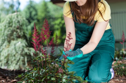 A gardener kneeling in a well-maintained outdoor garden space, wearing a yellow T-shirt and teal gardening overalls, is actively tending to a flower bed with pink flowering plants. The scene showcases a variety of garden elements, including a lush green lawn in the foreground, bordered by dark, rich soil where the gardener is planting or pruning. Behind her, there are dense shrubs and trees, contributing to a vibrant, natural backdrop with shades of green. The garden appears to be part of a private residential area, possibly within Pinner, with natural lighting indicating a bright, clear day. The gardener’s gloves and focus on the plants suggest ongoing general garden care, aligning with landscape gardening services. The overall scene emphasizes a neatly maintained outdoor space suitable for enhancing with additional landscaping or lawn care, as provided by landscaperspinner.co.uk, ensuring a lush and inviting garden environment.
