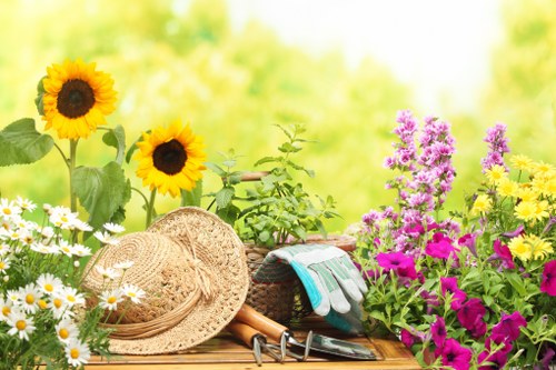 Professional landscapers designing a garden in Pinner