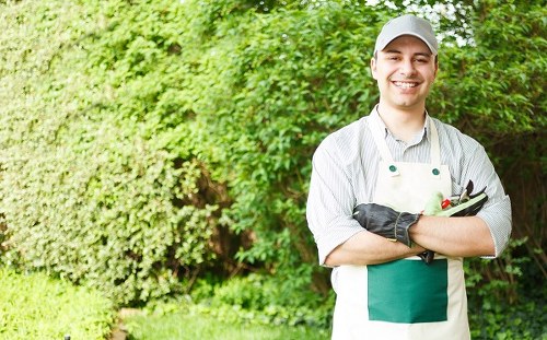 A smiling male gardener wearing a light grey apron, a white cap, and black gardening gloves stands outdoors in a landscaped garden near Pinner. Behind him, a dense hedge made up of lush green foliage provides a natural backdrop, with various trees and shrubs contributing to the vibrant greenery. The garden features a well-maintained lawn with evenly cut, dense grass, bordered by flower beds and soil areas. To his left, a paved paving stone patio is visible, with a wooden decking area in the background. The outdoor environment appears bright and sunny, suggesting clear weather, with natural sunlight highlighting the different textures and natural tones of the plants and surfaces. The scene reflects a professional landscaping and gardening context typical of outdoor spaces serviced by specialists like Landscapers Pinner, emphasizing lush, orderly garden layouts suitable for ongoing maintenance and care within the local area.