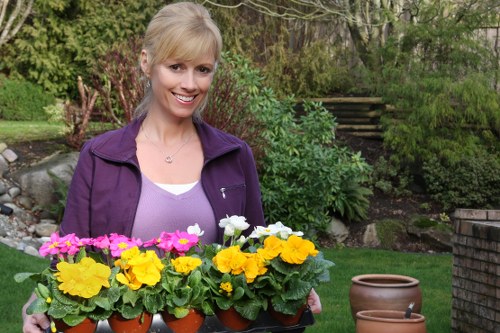 A smiling woman with blonde hair, dressed in a purple jacket and white top, holds a tray of vibrant potted garden flowers including yellow, pink, and white blooms. She stands in a well-maintained backyard garden with lush green grass, a variety of shrubs, and small trees in the background. The garden features a paved patio area with a few empty terracotta pots placed nearby, and a stone retaining wall with steps leading up to an elevated garden bed. The scene is illuminated by natural daylight, suggesting an outdoor setting in spring or summer, with the greenery and blooming flowers providing a colourful and inviting environment typical of landscaped outdoor spaces in Pinner, Middlesex, UK. This setting exemplifies care for plant display and outdoor gardening, aligning with professional gardening and landscaping services offered by Landscapers Pinner.