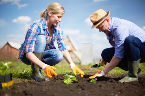 A woman and a man working together in a garden, planting seedlings in freshly turned soil. The woman, with blonde hair tied back, is wearing a blue and white checked shirt, blue jeans, and orange gloves, crouching down to place a small green plant into the ground. The man, wearing a straw hat, light blue shirt, dark trousers, and grey rubber boots, is also kneeling while carefully positioning another plant. The garden features a well-maintained lawn with vibrant green grass, bordered by flower beds or shrubbery, and the soil appears dark and fertile. In the background, there are residential buildings with exposed brick walls, and the sky is bright with scattered clouds, suggesting a clear, sunny day. The scene captures a moment of outdoor gardening activity, reflecting landscaping and lawn care work typical in domestic outdoor spaces around Pinner, Middlesex, and underscores professional gardening services by Landscapers Pinner.