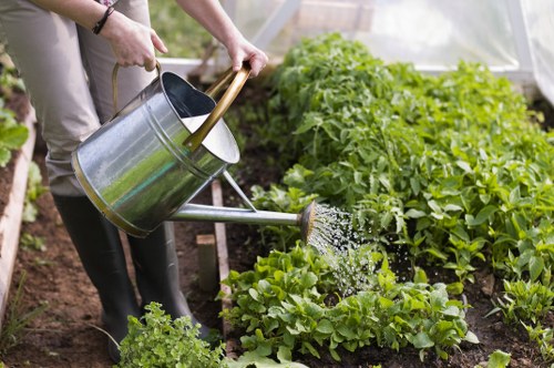 Skilled team of Landscapers Pinner enhancing outdoor spaces