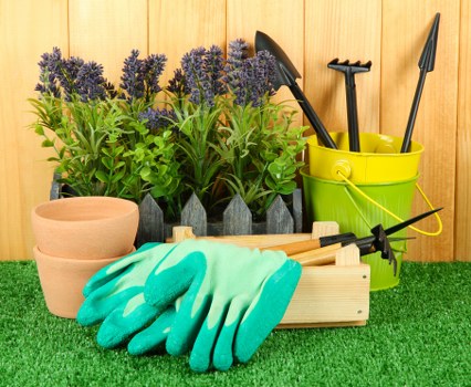 The image displays a well-organized garden supplies area with a backdrop of a wooden fence. In the foreground, there are several terracotta plant pots stacked and ready for planting or repotting. Behind the pots, a rectangular planter box containing lush, green foliage and tall, purple flowering herbs is positioned along the garden border. To the right, a bright green plastic bucket holds various garden tools, including a trowel, a fork, and a pair of hedge shears, all with black handles. In front of the bucket, a pair of turquoise gardening gloves rests casually on a wooden tray, which also contains a small hand rake and a gardening fork. The area is set on a manicured lawn with vibrant green grass, suggesting careful maintenance. The scene is illuminated by natural daylight, indicating an outdoor environment suitable for landscaping and garden care activities, with the overall setup reflecting professional gardening supplies relevant to services offered by companies like Landscapers Pinner in the local area.